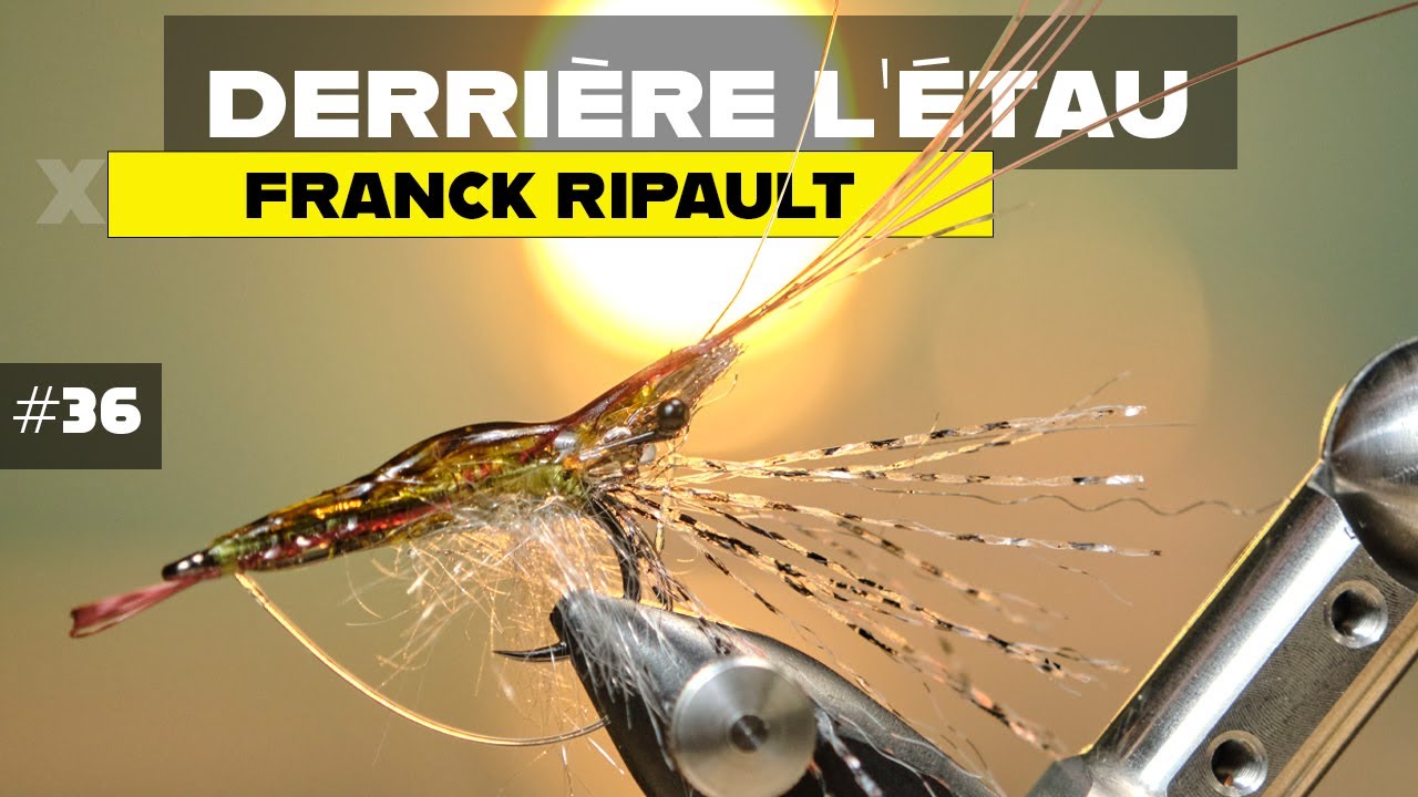 Clips à Appâts IMP (Imps) Pour Pêche En Mer - Acier Inoxydable, Lots De 25, 50 Ou 100 - Fabriqué Au Royaume-Uni